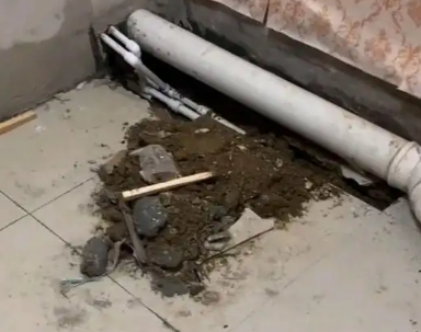 贡觉卫生间漏水检测哪家好